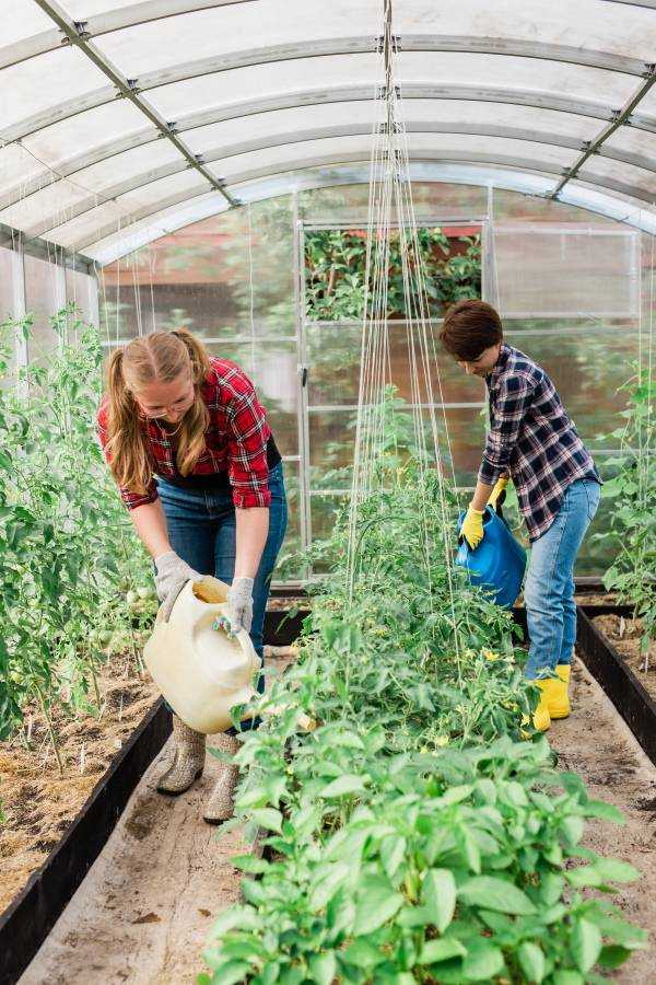 8 Simple Vegetable Garden Design Tips House Garden Home