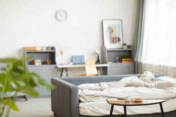 Couch Bed In Cozy Home Interior 2021 09 24 04 15 38 Utc.jpg