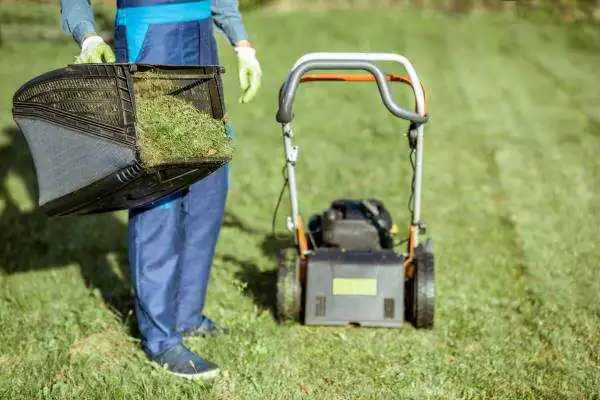 Gardener Working With Lawn Mower On The Backyard 2021 09 25 07 26 06 Utc.jpg