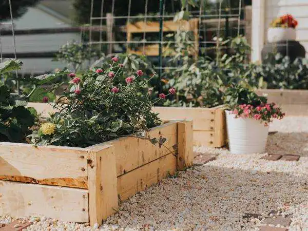 Raised Flower Garden