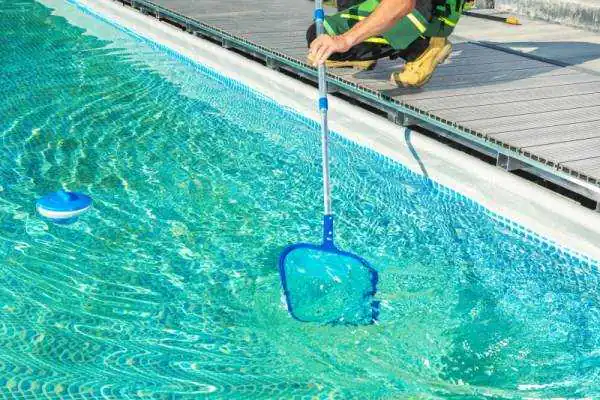 Cleaning Swimming Pool With Skimmer Net 2023 02 10 09 50 26 Utc.jpeg