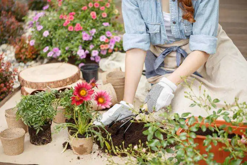 A woman in white gloves sitting in a backyard and planting flowers in pots